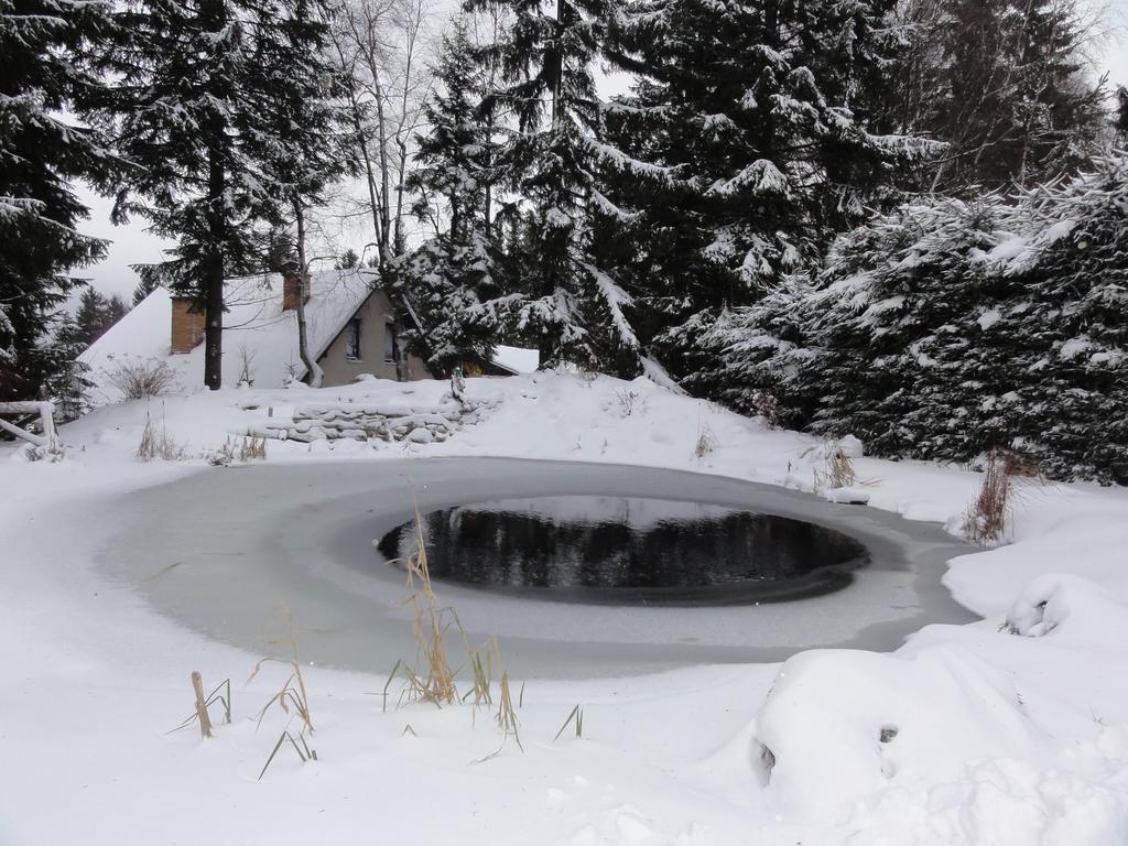 Hotel Pavla Vysocina Nove Mesto na Morave Dış mekan fotoğraf