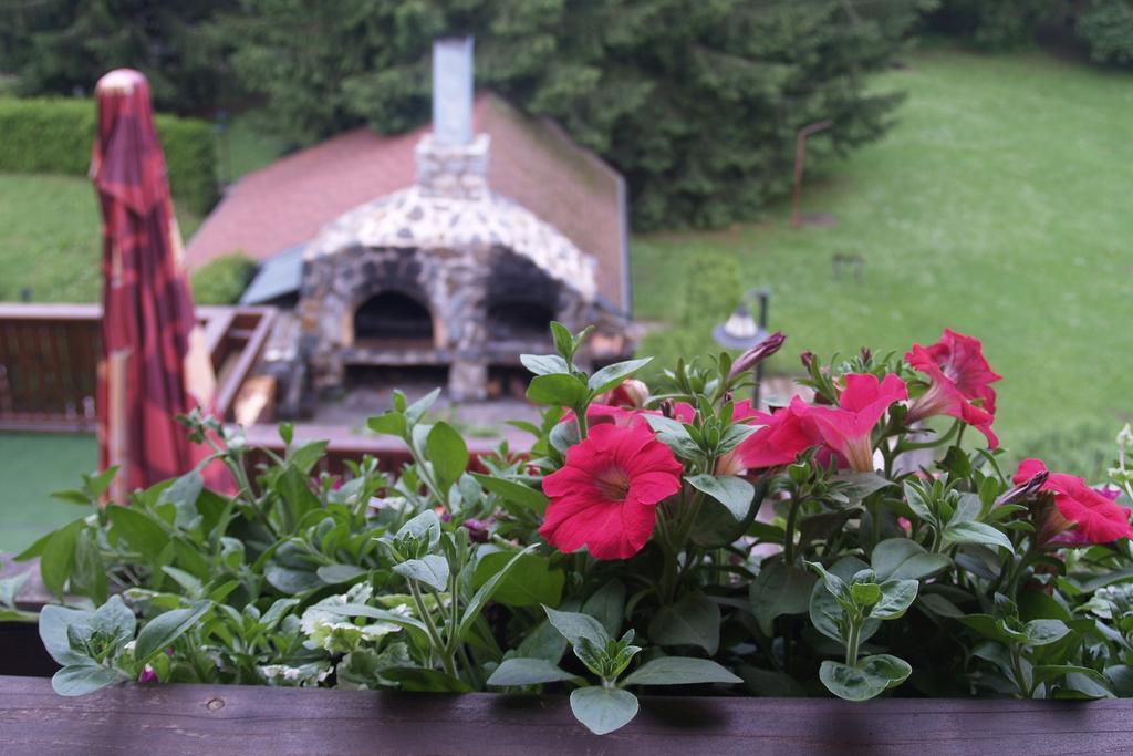 Hotel Pavla Vysocina Nove Mesto na Morave Oda fotoğraf